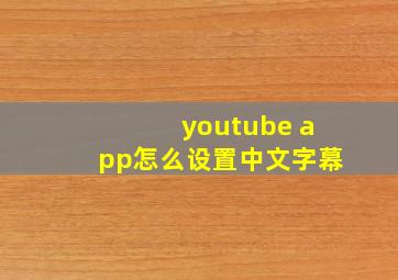 youtube app怎么设置中文字幕